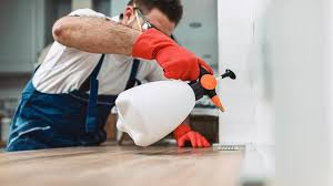 Best Pest Control for Multi-Family Homes  in Los Molinos, CA